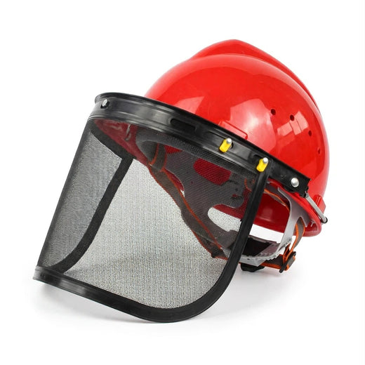 Forestry safety helmet